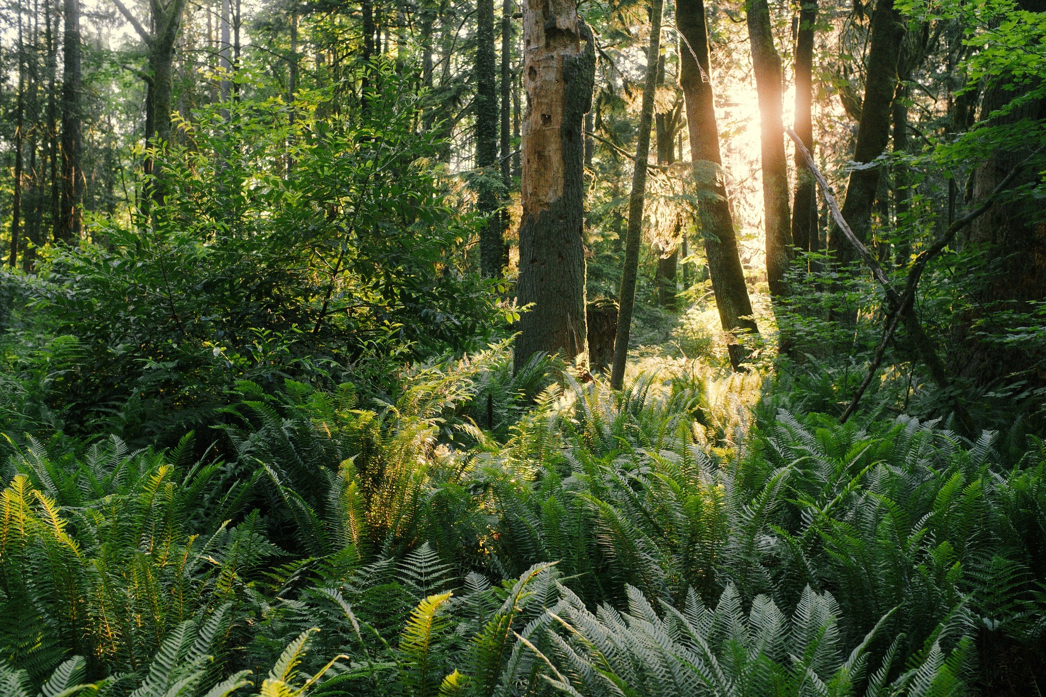 Symbol kontroli i wolności, np. klucz w dłoni